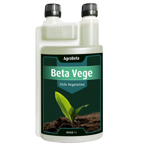 Beta Vege