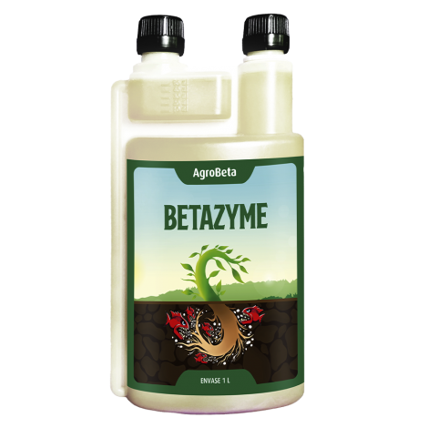 Betazyme