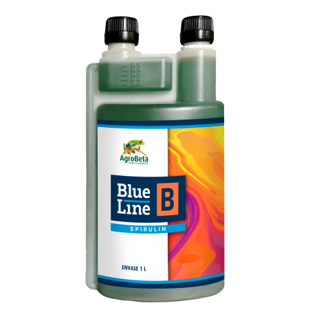 Blue Line B