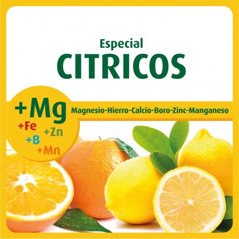 Especial Cítricos