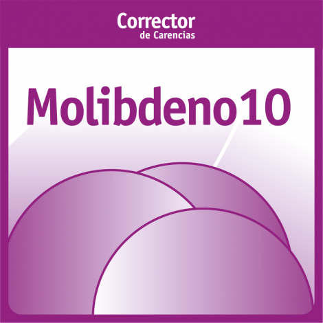 Molibdeno 10