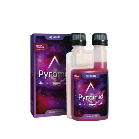 Pyramid