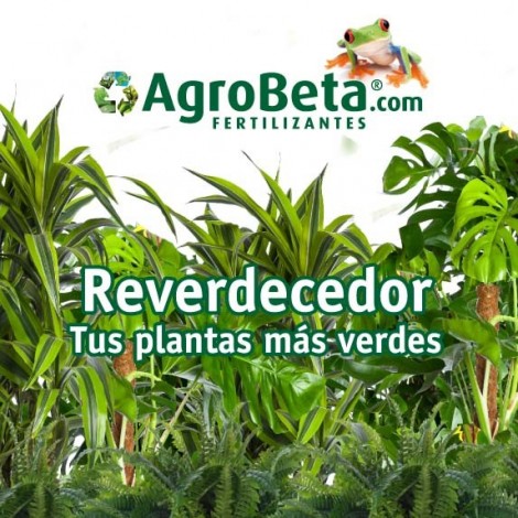 Reverdecedor